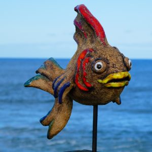 Colourful Fish