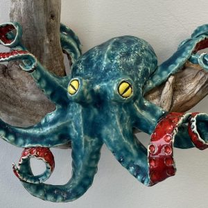 Octopus on Driftwood 1