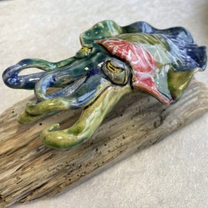 Cuttlefish on Driftwood