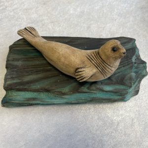 Little Seal on Driftwood