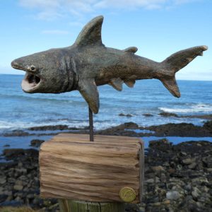 Basking Shark