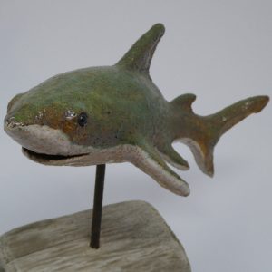 Shark