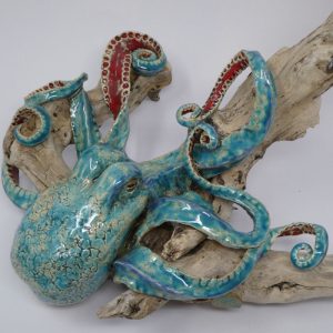 Octopus on Driftwood -SOLD-